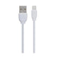 REMAX 2-Port Power Adapter with USB-C to Lightning Cable